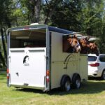 Cheval liberté 3places MAXI 3 2021