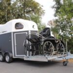 VAN HIPPOMOBILE CHEVAL LIBERTE PORTE CALECHE