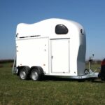 Gold One "White Line" blanc 1,5 pl