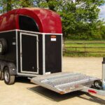 Van porte caleche bockmann duo avec sellerie