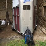 Van Ifor William 2007