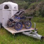 Van 2 P - Porte-calèche cheval liberte