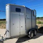 VAN IFOR WILLIAMS 2008